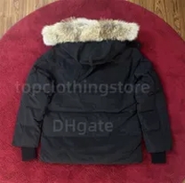 black down jacket fur hood