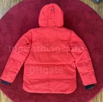 red down jacket