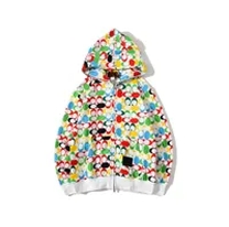 multicolor hoodie