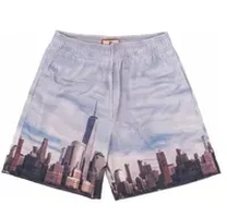 city view shorts