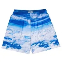 blue and white short pants