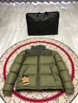 green down jacket