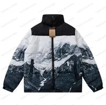 white blue mountains down jacket