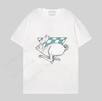 white tee shirt hare